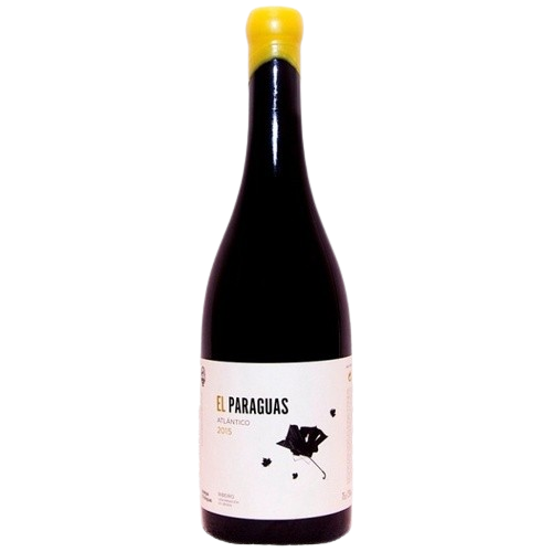 Vino blanco roble El Paraguas 2017